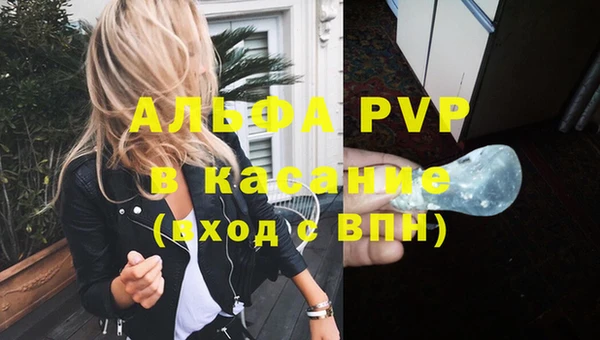 сатива Пестово