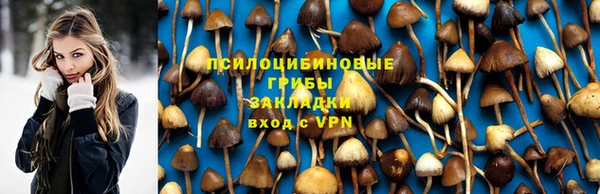 сатива Алексеевка