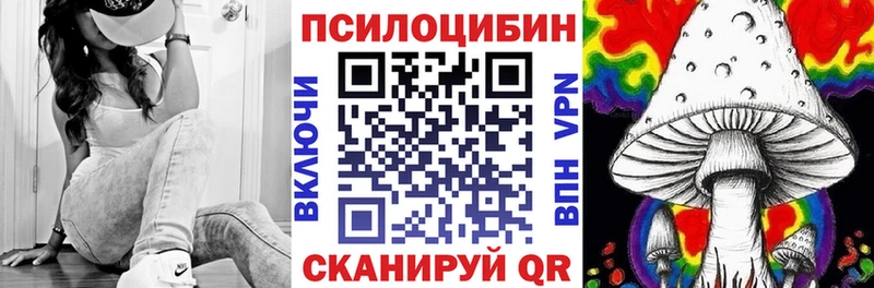 где можно купить   Сосновка  Галлюциногенные грибы мухоморы 